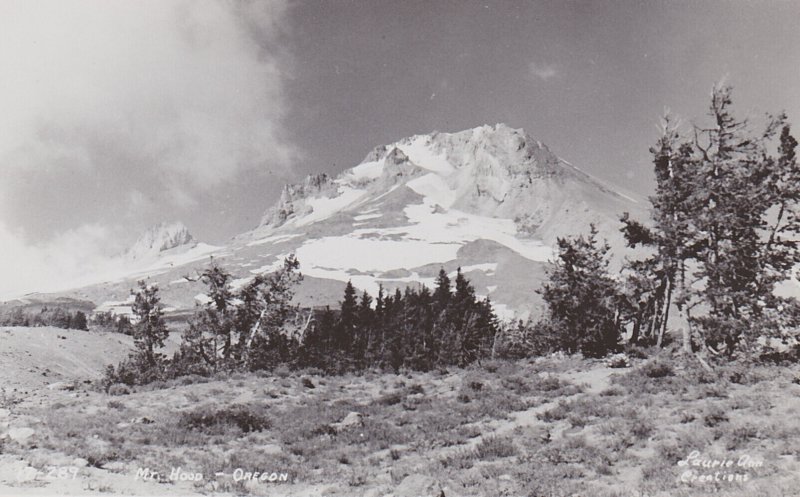 Oregon View Of Mount Hood Real Photo