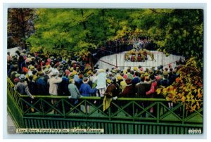 c1940's Lion Show Forest Park St. Louis Missouri MO Unposted Vintage Postcard 