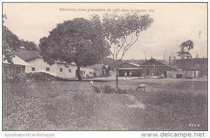 Cote D'Ivoire Ivory Coast Batiments d'une plantation de cafe dans l...