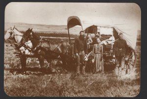 THE PIONEERS Covered Wagon Team of Horses Old West Collectors Series Cont'l