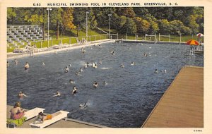 Swimming Pool Greenville, South Carolina  