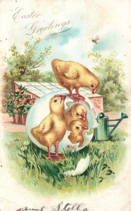 Vintage Postcard Easter Greetings Chicks Landscape Holiday Wishes Card