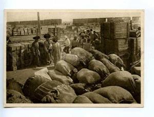 232538 USSR Turkmenistan Turkmenabat Charjew Chardzhou market