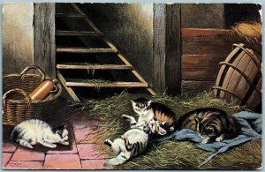 CATS in the BARN ANTIQUE POSTCARD 