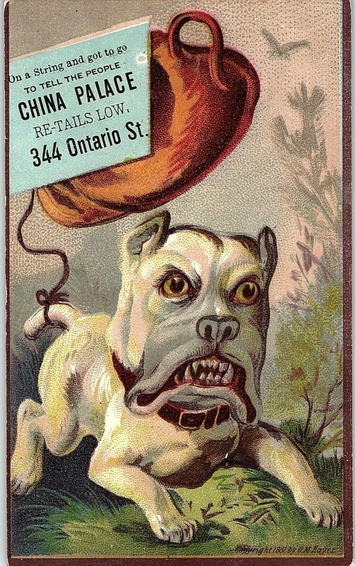 1880's Oddball Dog China Palace  Victorian Trade Card F54