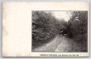 Truesdale Farm Drive Mountain Lake Park MD Horse And Buggy Maryland Postcard E43