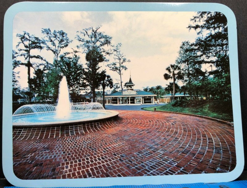 Florida Silver Springs Vintage Postcard