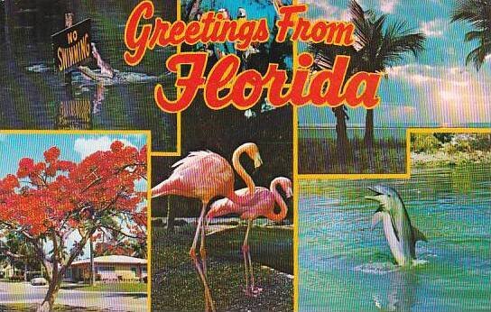 Florida Sebring Land Of Sunshine Beauty Fun And Many Attractions 1980