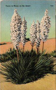 Yucca in Bloom BIN