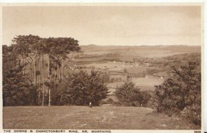 Sussex Postcard - The Downs & Chanctonbury Ring - Near Worthing - Ref TZ6225