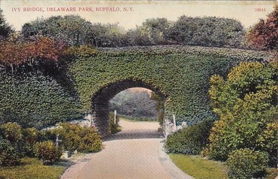 Ivy Bridge Delware Park Buffalo New York