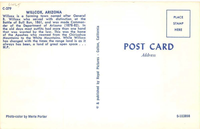 Willcox Arizona Street Scene Business District Vintage Postcard AA65555 