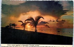 Postcard - Palm trees against a beautiful Florida sunset - Florida