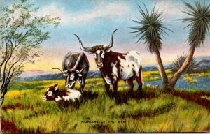 Cows Pioneers Of The West By L H Dude Larsen