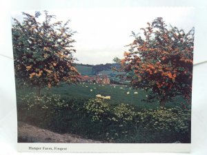 Hangar Farm Fingest  Buckinghamshire Vintage Postcard