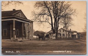 K47/ Conquest New York RPPC Postcard c1910 Maple Street Homes 229