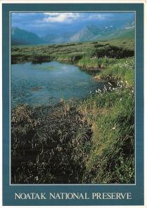 BG13857 alaska natural history noatak national preserve usa