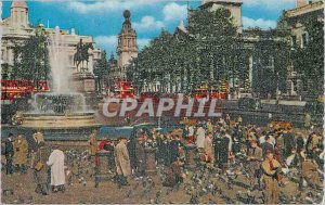 Modern Postcard Feeding the Pigeons Trafalgar Square London