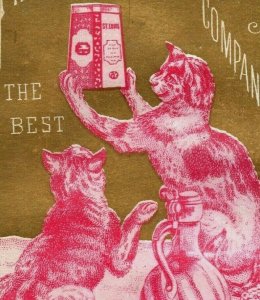 1870's St. Louis Beef Canning Co Anthropomorphic Cats Holding Tin Box P172