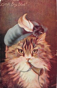 G91/ Interesting Postcard 1907 Dressed Cat Little Boy Blue Hat Horn