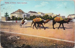 Tunisia Tunis Le Bardo Palais Beylicale Vintage Postcard C156