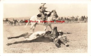 WY, Cody, Wyoming, RPPC, Rodeo, Cowboy Bulldogging Texas Longhorn Steer, Hiscock