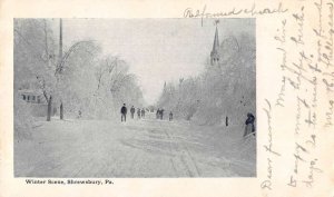 Shrewsbury Pennsylvania Winter Scene Vintage Postcard AA13520