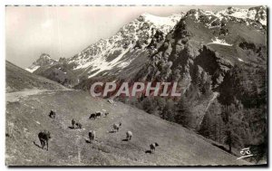 Old Postcard The Alps Saint Veran Paturages head Size Pico Farneireta