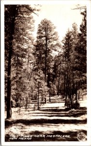 Frashers Fotos Real Photo Postcard Tall Pines near Mescalero, New Mexico