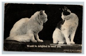 Vintage 1916 Cat Lovers Photo Postcard Two Cats Meeting for the First Time Funny