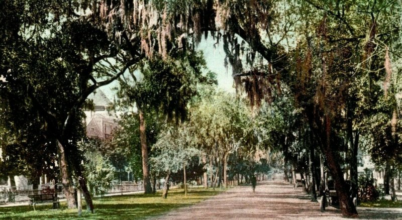 C.1910 Ridgewood Avenue, Daytona, Fla. Postcard P50