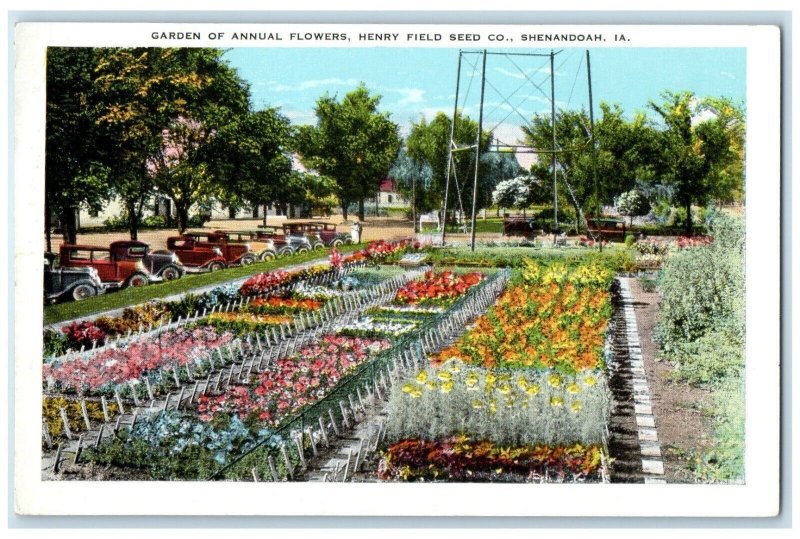 c1920 Garden Annual Flowers Henry Field Seed Co. Flower Shenandoah Iowa Postcard
