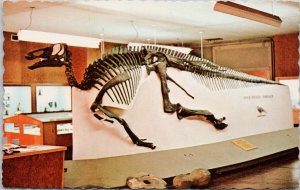 Drumheller Alberta Museum 'Edmontosaurus' Dinosaur Unused Postcard E98