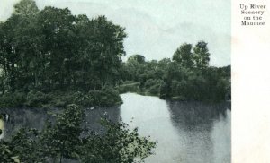 C. 1910 Hand Tinted Maumee River Scene Toledo Ohio Vintage Postcard P217