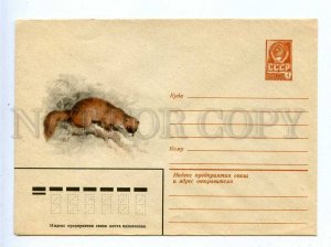 196572 USSR Siberian weasel old COVER