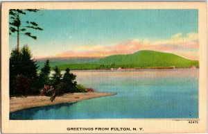 Scenic View, Greetings from Fulton NY Vintage Postcard E43