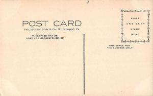 Williamsport Pennsylvania Vallamont Park Entrance Antique Postcard K32764