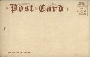 Native American Indian Circling Bear Head Dress Decorated w/ Feathers Postcard