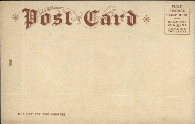 Native American Indian Circling Bear Head Dress Decorated w/ Feathers Postcard