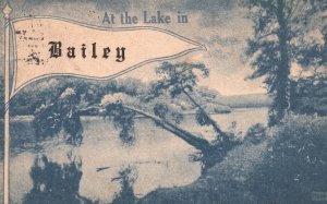 Vintage Postcard 1916 Scene of Lake In The Bailey Along With Trees