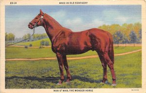 Man O'War the Wonder Horse, Horse Racing, Trotters, Unused 