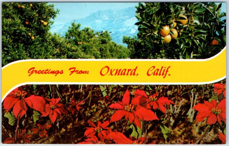 x22 Cali SET #1 c1960s Greeting Postcard LOT Chrome Photo Southern CA Mixed A182
