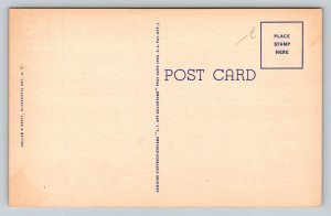 Rock Island  Lighthouse  Thousand Islands  New York   Postcard