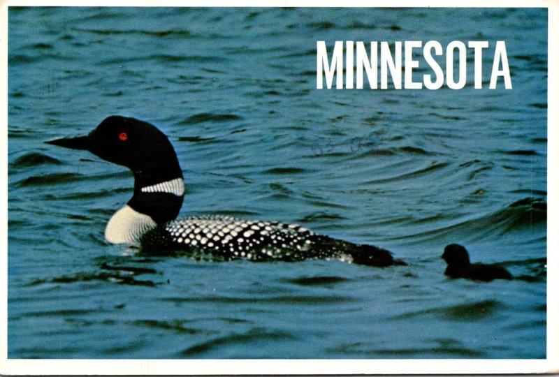 Minnesota State Bird The Loon 1984