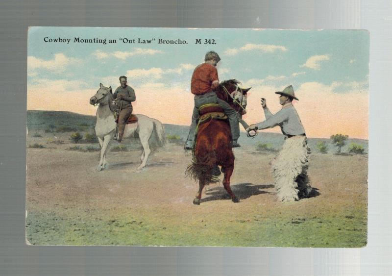 Mint Picture Postcard Cowboy Mounting Outlaw Bronco Horse C E Morris