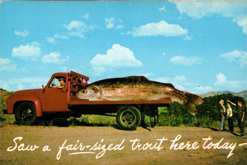 Neat Old Truck, Big A@@ Fish Humor Postcard