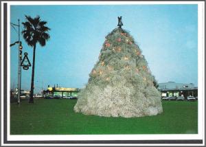 Arizona, Chandler Tumbleweed Christmas Tree Postcard
