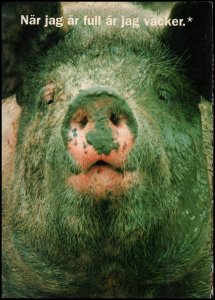 Sweden Post Card - Pig, unused