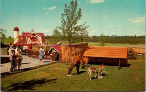 Canada Edmonton Storyland Valley Children's Zoo Young Eld and Spotted Deer