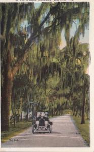 Florida Daytona A Picturesque Roadway